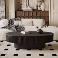 47 Modern Oval Coffee Table with Storage, Center Table with Removable Tabletop for Living Room or Apartment - Panipeachy